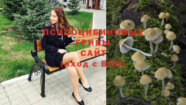 не бодяженный Аркадак