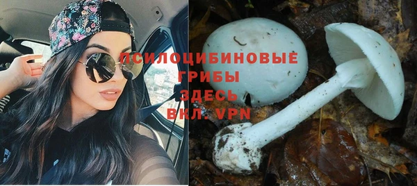 не бодяженный Арсеньев