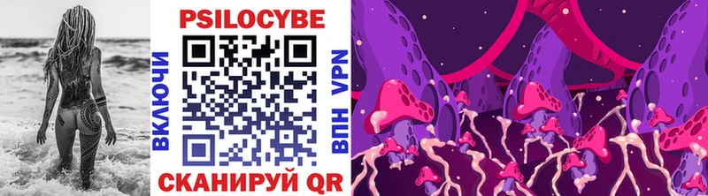 даркнет Telegram Магадан Псилоцибиновые грибы Psilocybe